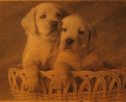 Photogravuren_Fotogravuren_Fotos_gravieren_CNC_15