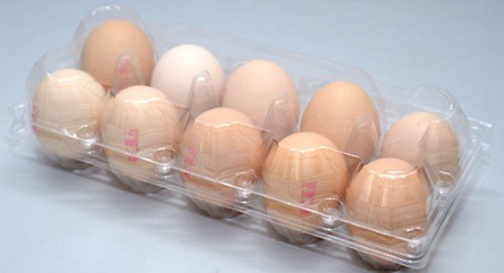 Tiefziehen Eierschachtel Tiefziehen Eierschachtel