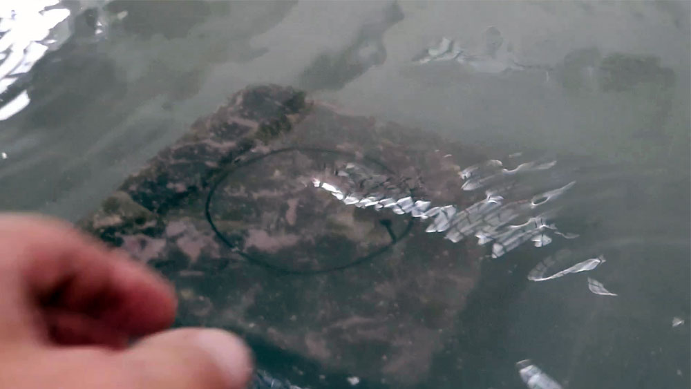 Natural stone cut with Water Jet Cutter Natural stone cut with Water Jet Cutter